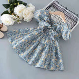 New Girls Floral Skirt, Little Girl Princess Dress, Baby Net Red Foreign Style Summer Dress Beautiful