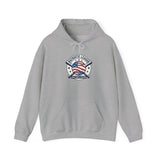 Patriotic Baseball Emblem Hoodie | vintage baseball graphic, red white blue