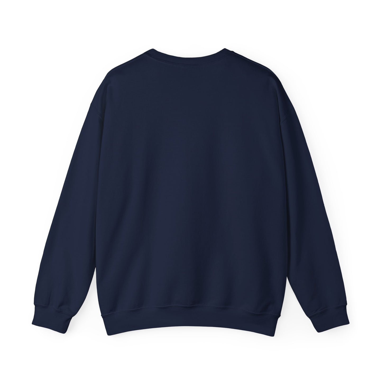 Orbital Problem Solver Sweatshirt | mission patch, space science nerd