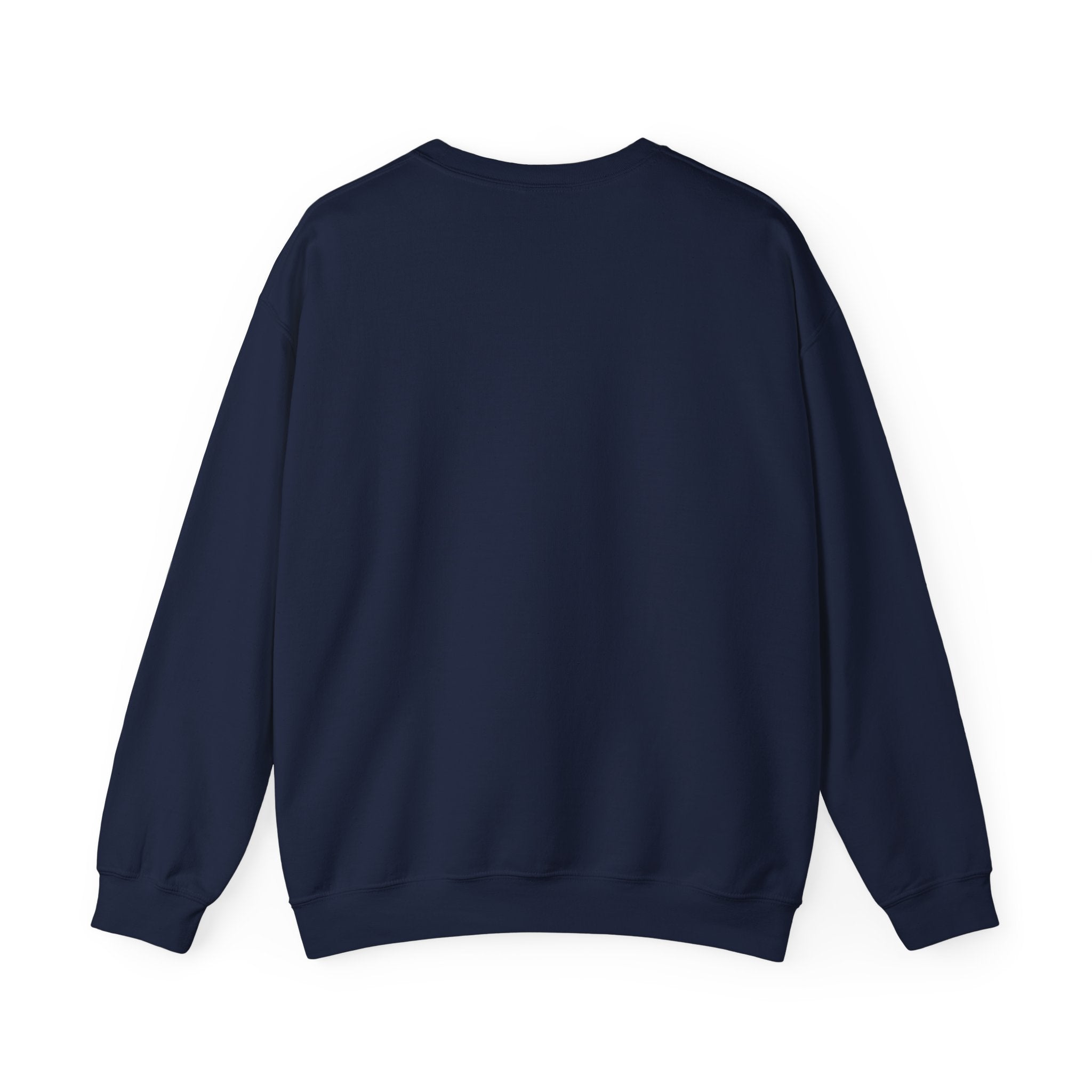 Orbital Problem Solver Sweatshirt | mission patch, space science nerd