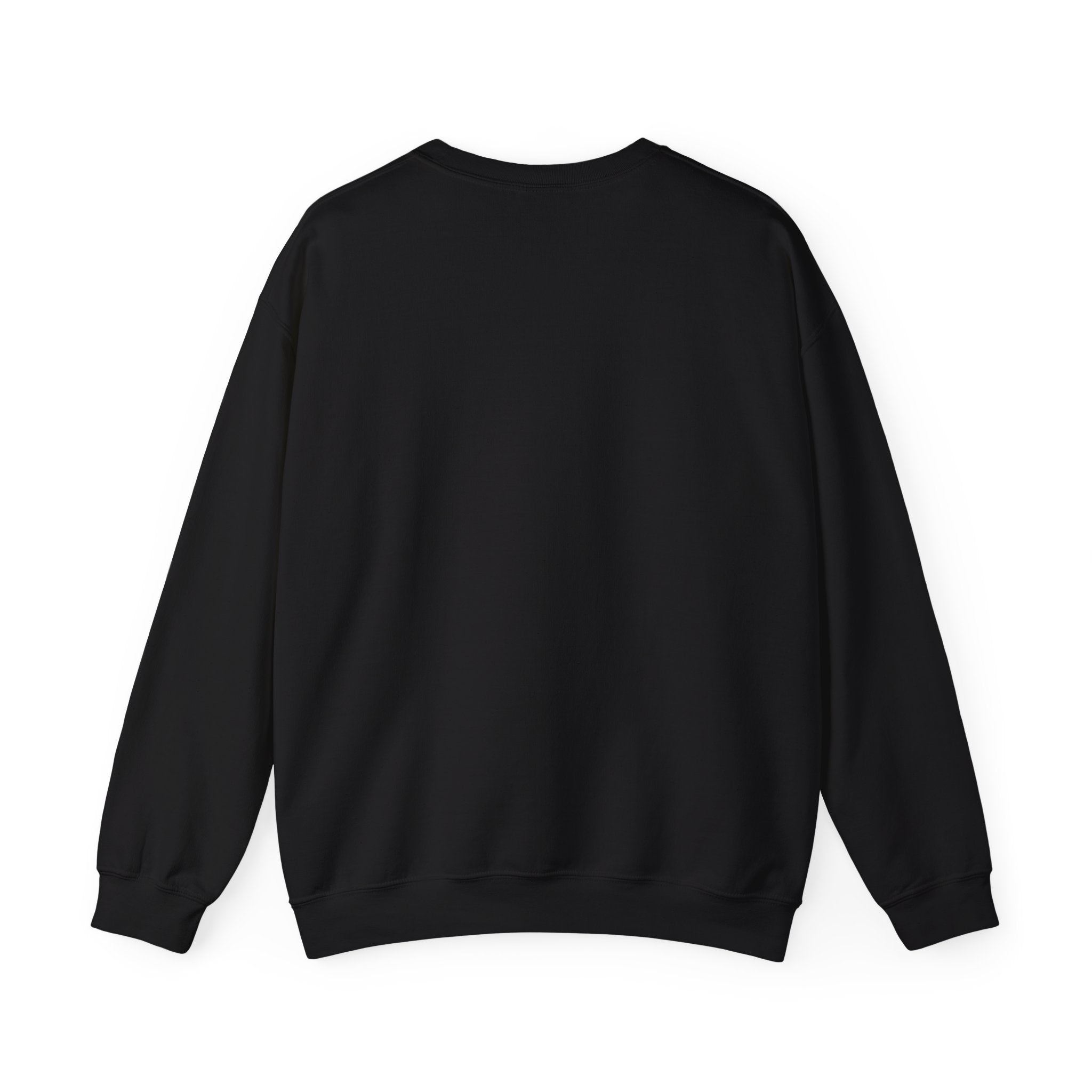 Orbital Problem Solver Sweatshirt | mission patch, space science nerd