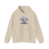 Patriotic Baseball Emblem Hoodie | vintage baseball graphic, red white blue