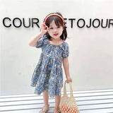 New Girls Floral Skirt, Little Girl Princess Dress, Baby Net Red Foreign Style Summer Dress Beautiful